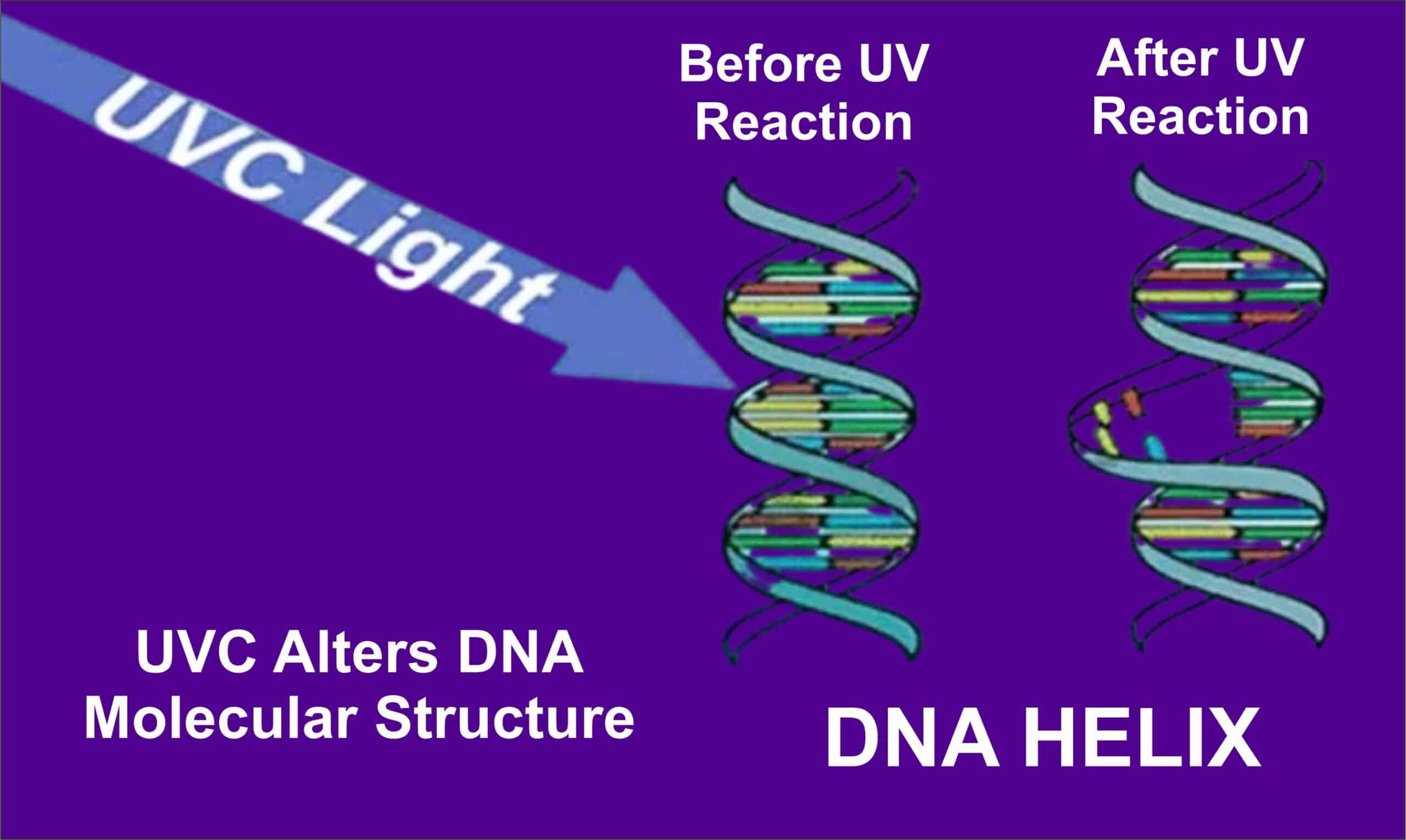 Hwt UV Working principle